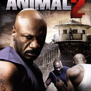 Animal 2 photo 2
