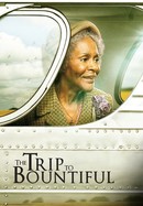 The Trip to Bountiful poster image