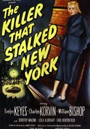 The Killer That Stalked New York poster image