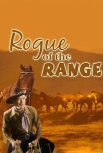 Poster for Rogue of the Range