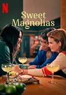 Sweet Magnolias poster image