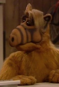 Alf: Season 4, Episode 4 