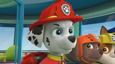 PAW Patrol  Rotten Tomatoes