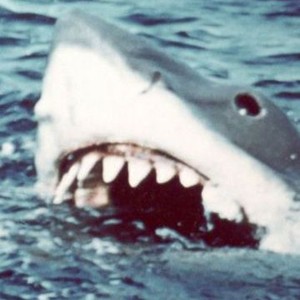 Cruel Jaws (1995) photo 8