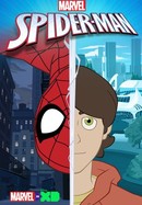 Marvel's Spider-Man poster image