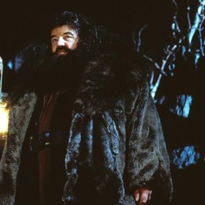 HARRY POTTER AND THE SORCERER'S STONE, Robbie Coltrane as Hagrid, 2001