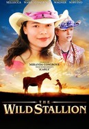 The Wild Stallion poster image