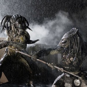 Alien vs. Predator Pictures - Rotten Tomatoes