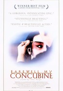 Farewell My Concubine poster image