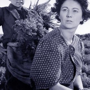 No Resting Place (1951) photo 3