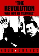 The Revolution Will Not Be Televised poster image