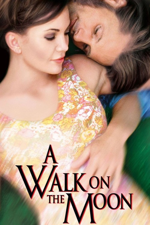 A Walk on the Moon poster
