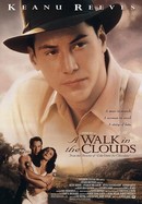 A Walk in the Clouds poster image