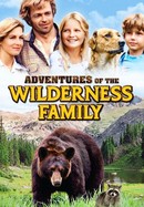 The Adventures of the Wilderness Family poster image