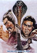 The Instant Kung-Fu Man poster image