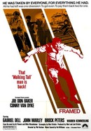 Framed poster image