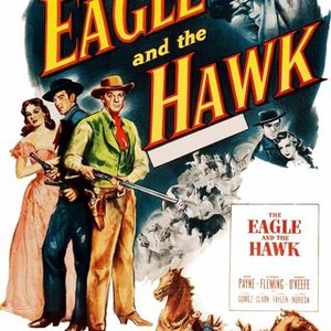 The Eagle and the Hawk photo 8