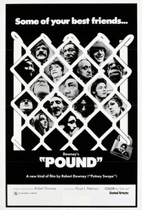 Watch trailer for Pound