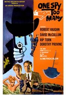 One Spy Too Many poster image