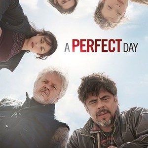 A Perfect Day photo 3