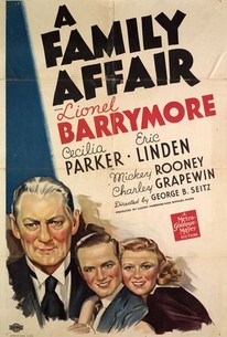 Poster for A Family Affair