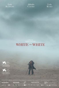White on White poster