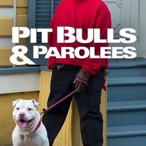 pitbull and parolees