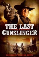 The Last Gunslinger poster image