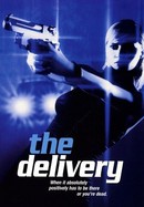 The Delivery poster image