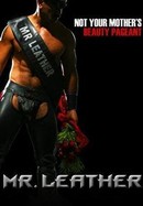 Mr. Leather poster image