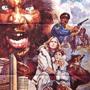 "Yeti photo 13"