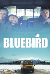 Watch trailer for Bluebird
