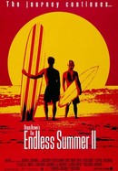The Endless Summer II poster image