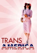 Transamerica poster image