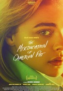 The Miseducation of Cameron Post poster image