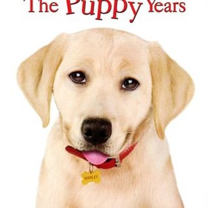 Marley & Me: The Puppy Years (2011)