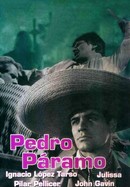 Pedro Páramo poster image