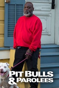 Pit Bulls & Parolees: Our Biggest Rescues Pictures - Rotten Tomatoes