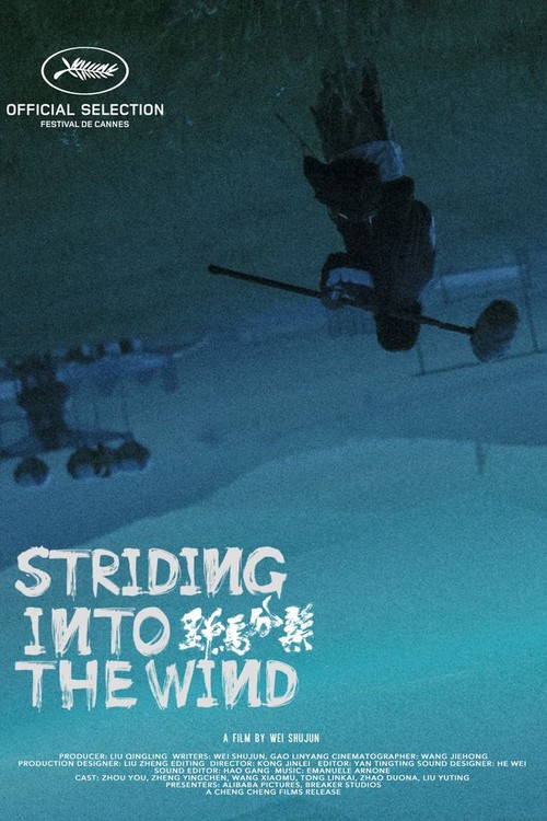 Striding into the Wind poster
