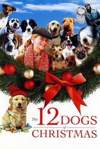 Watch trailer for The 12 Dogs of Christmas