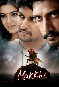 Image result for eega