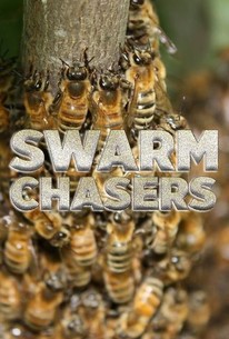 Swarm Chasers | Rotten Tomatoes