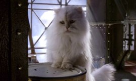 Stuart Little 2: Official Clip - In the Can