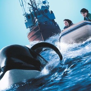 Free Willy 3: The Rescue photo 12
