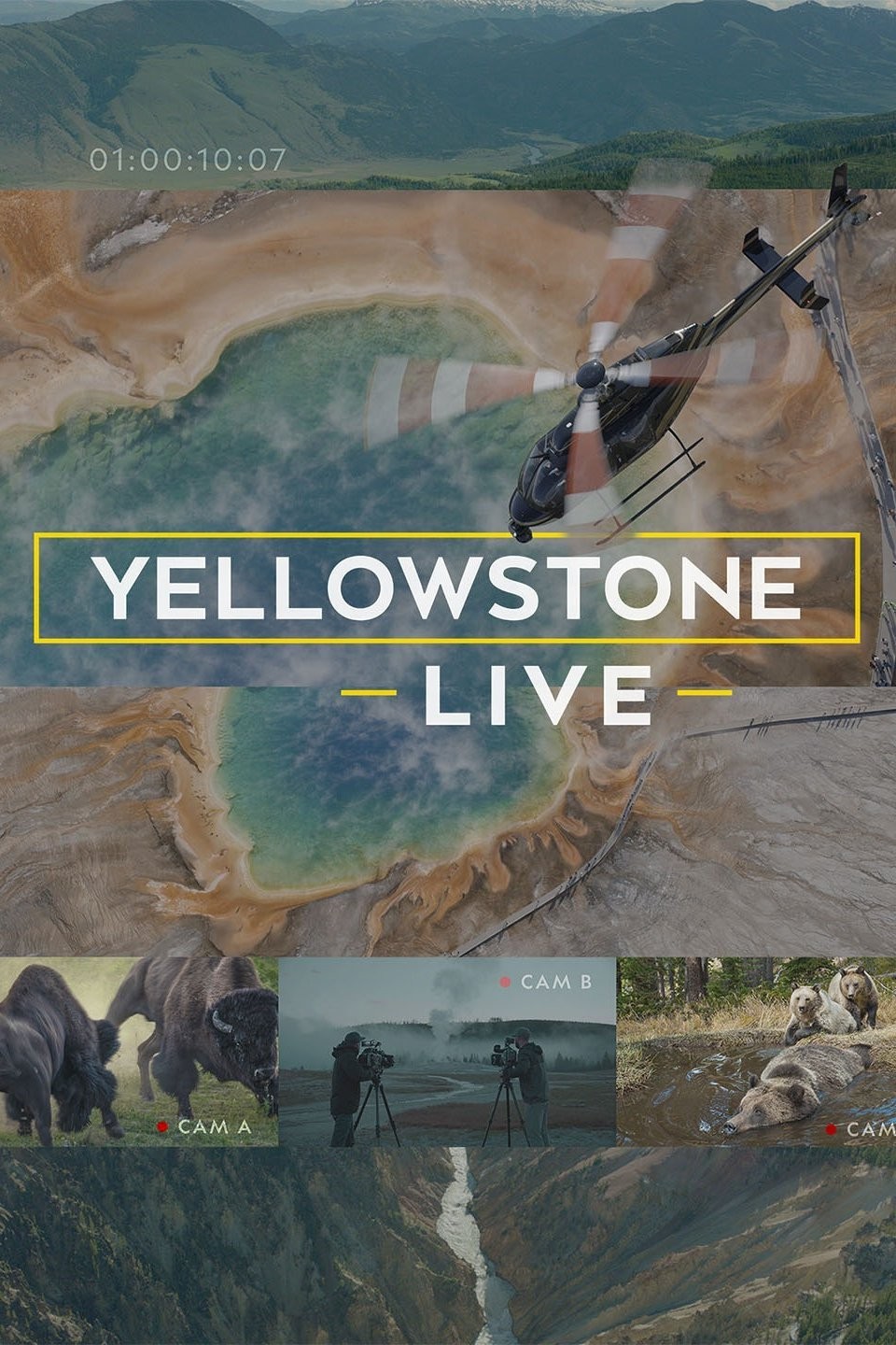 その他 Yellowstone: Battle for Life [DVD] Amazon.com: Yellowstone: Battle for Life (SD) [DVD] : Peter