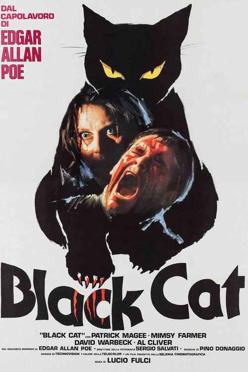 The Black Cat poster