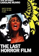 The Last Horror Film poster image