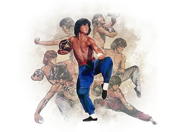 Bruce lee drunken master on sale