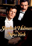 Sherlock Holmes in New York poster image