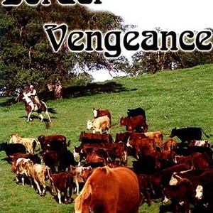 Border Vengeance photo 10